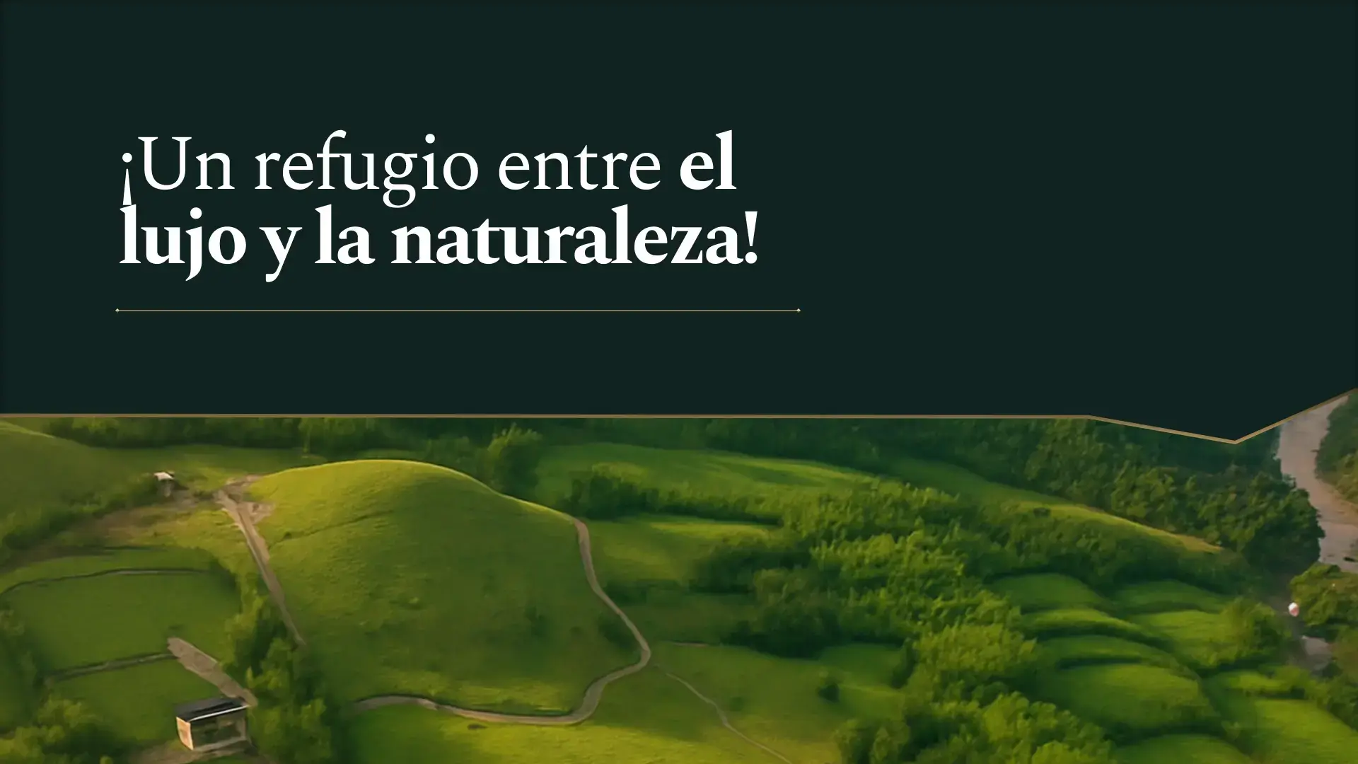 guaduales-balsora-vivienda-premium