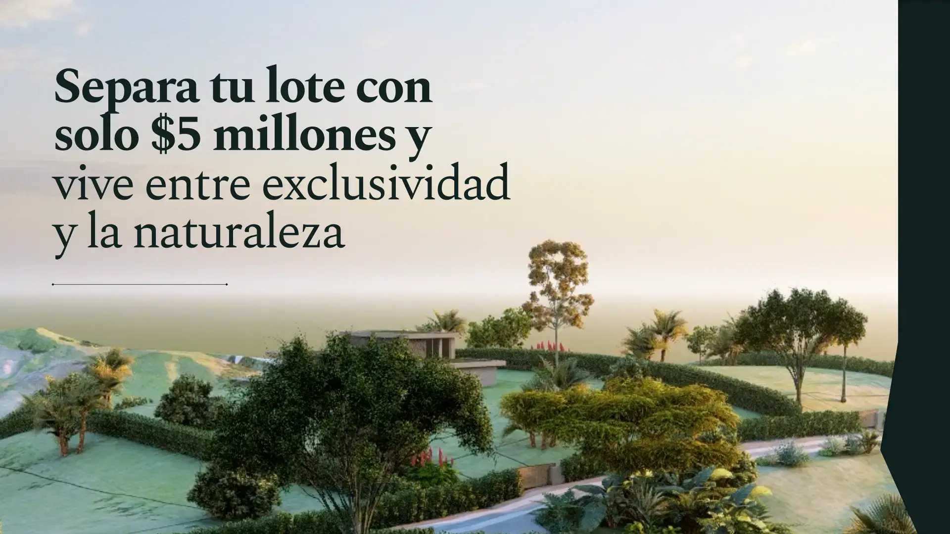 vista-aerea-proyecto-balsora-naturaleza